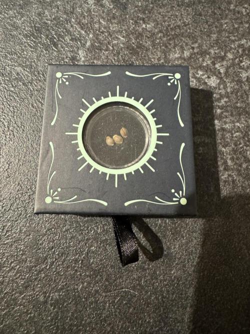 Rainbow Chimera. Week 0