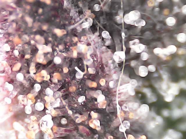 Hydro. Week 12