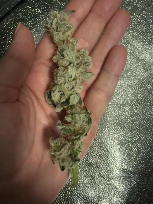 Hydro
