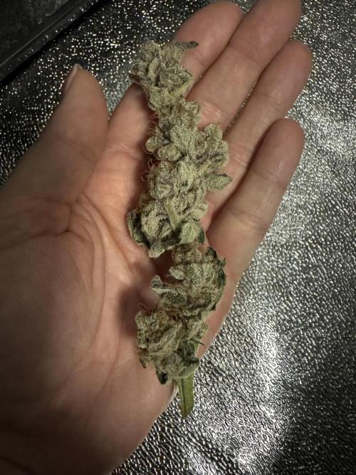 Hydro. Week 14