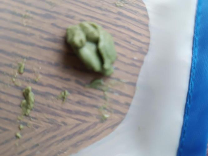 First grow outdoor + indoor | Biscotti. Week 31