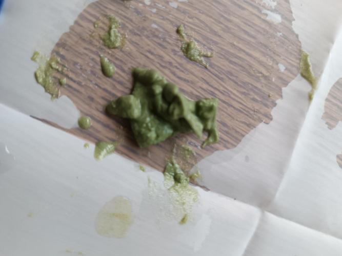 First grow outdoor + indoor | Biscotti. Week 31