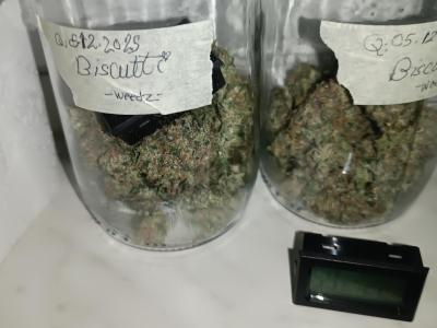 Comment by wolfvb photo #1