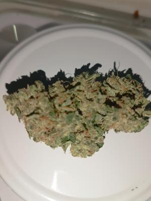 Comment by wolfvb photo #2