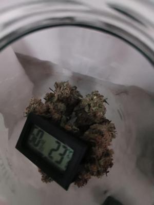 Comment by wolfvb photo #3