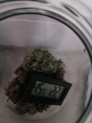 Comment by wolfvb photo #4