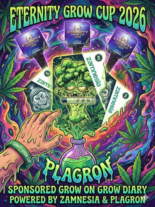 Sticky broccoli  🥦 Eternity Cup 2026. Week 0