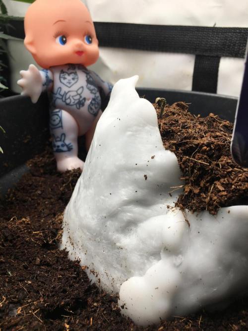 Sticky broccoli  🥦 Eternity Cup 2026. Week 0