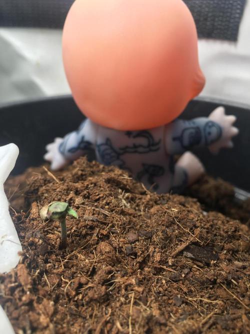 Sticky broccoli  🥦 Eternity Cup 2026. Week 0