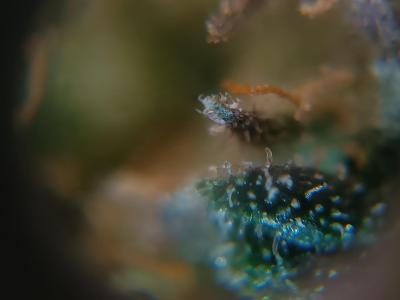 Comment by wolfvb photo #2