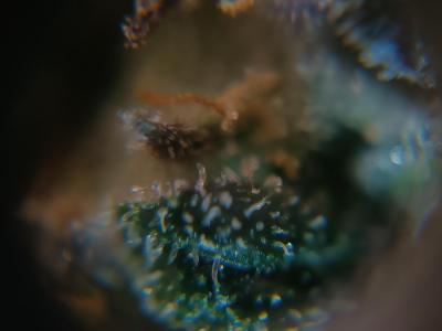 Comment by wolfvb photo #3