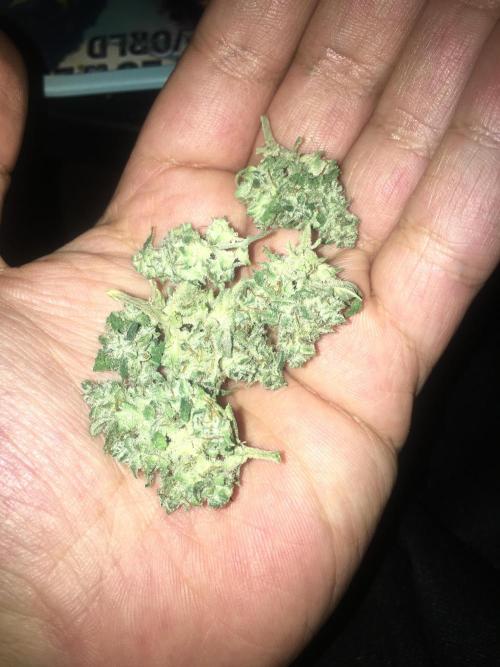 December 2025 | Wedding Cake 🍰. Week 11