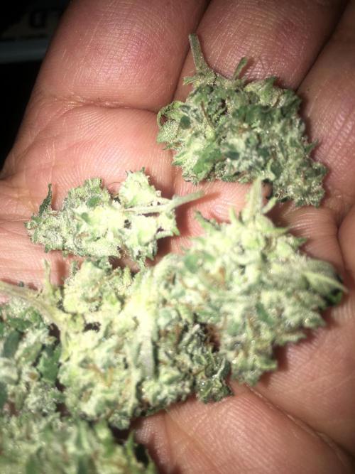December 2025 | Wedding Cake 🍰. Week 11