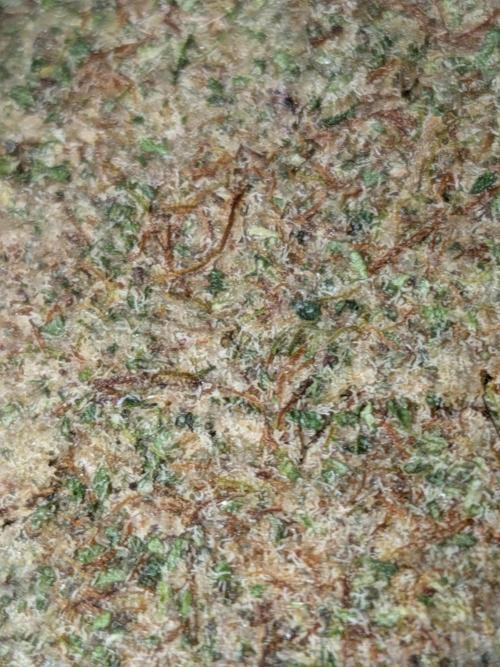 December 2025 | Wedding Cake 🍰. Week 11