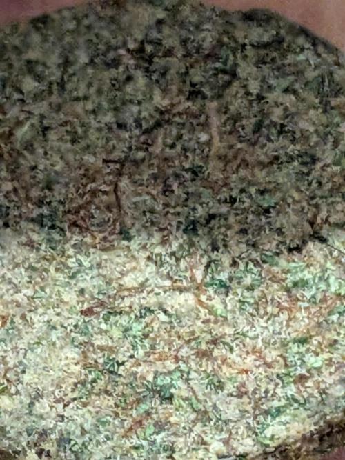 December 2025 | Wedding Cake 🍰. Week 11