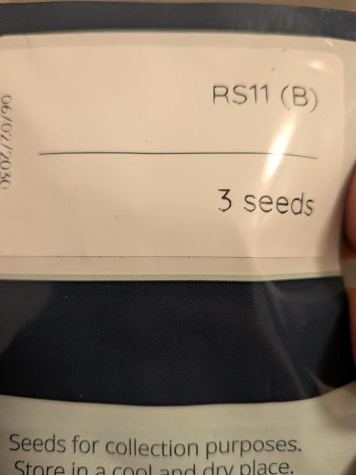 RS11(B) | GanjaFarmer. Week 0