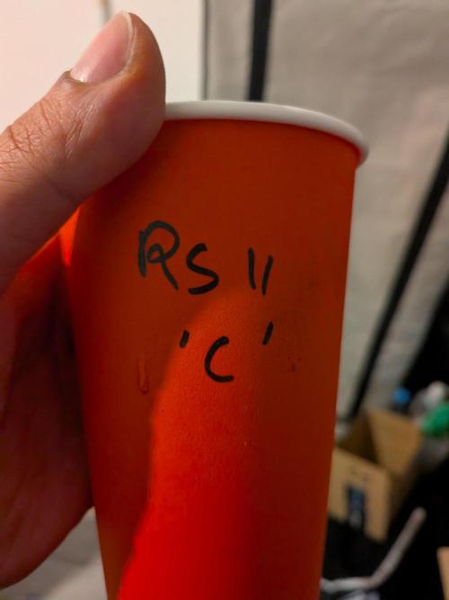 RS11(C) | GanjaFarmer. Week 0