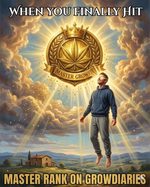 Zamnesia Seeds - Mellow Jelly Zamnesia x Positronics Seeds door wolfvb