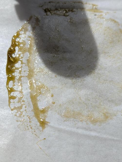 Sticky broccoli  🥦 Eternity Cup 2026. Week 16
