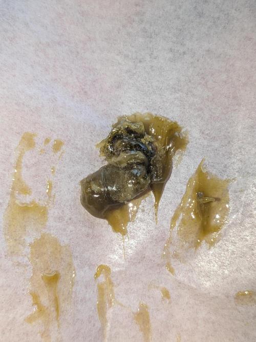 Sticky broccoli  🥦 Eternity Cup 2026. Week 16