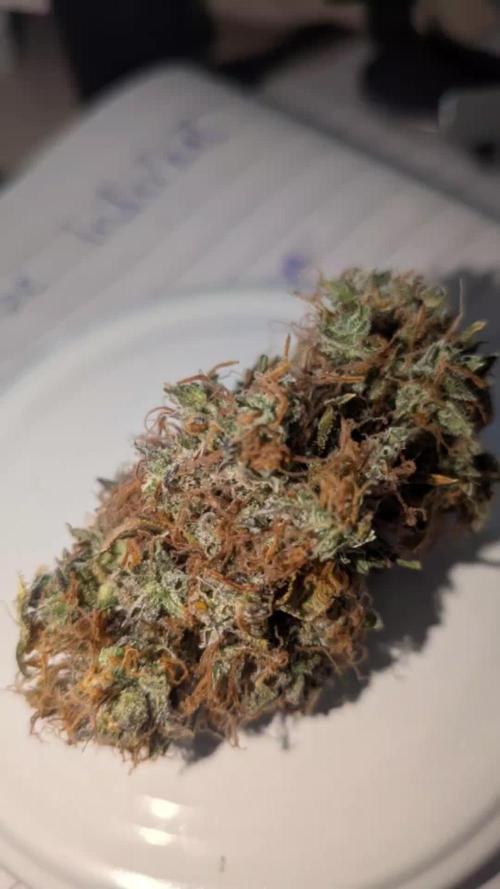 🥦Honey, I Shrunk the Broccoli! Micro