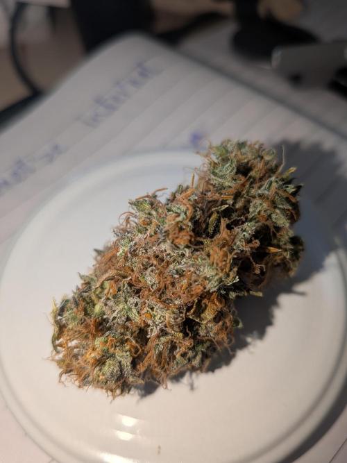 🥦Honey, I Shrunk the Broccoli! Micro. Week 16