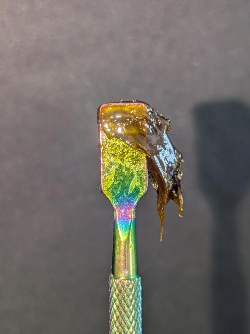 Devil Cookies One | USA Genetics 2026. Week 19