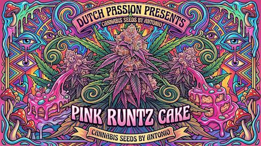Pink Runtz cake 🍰. Week 0