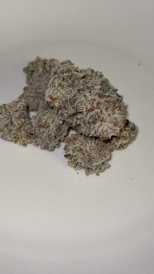 Girls love big tents