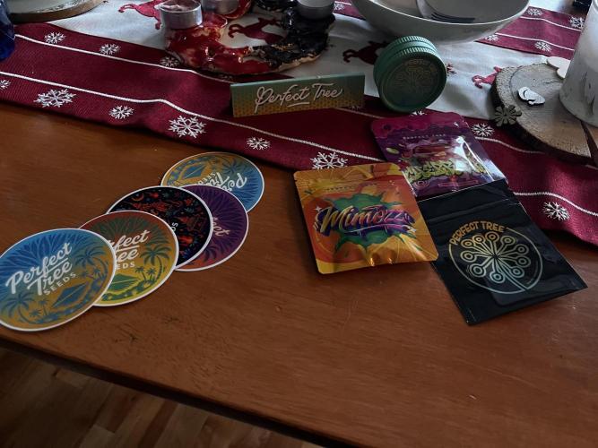 Cherrytini + Mimozz. Week 0