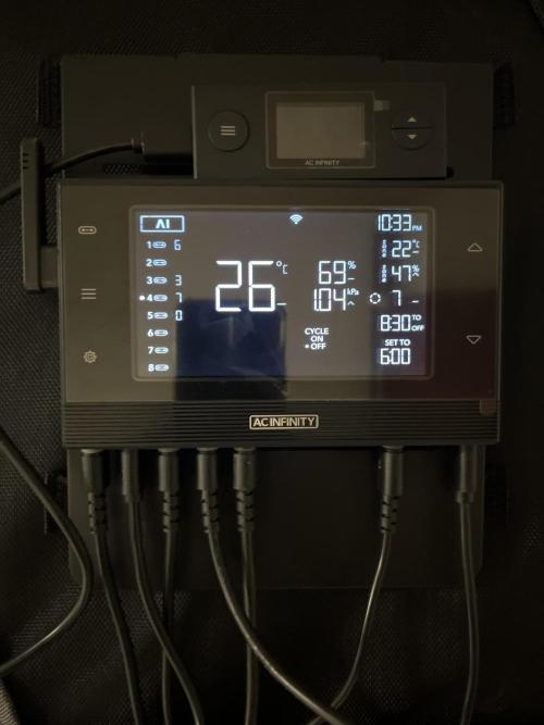 Cherrytini + Mimozz. Week 3