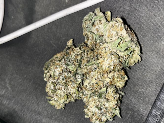 Dark Nectar , King Cartier. Week 14 - King Cartier#2