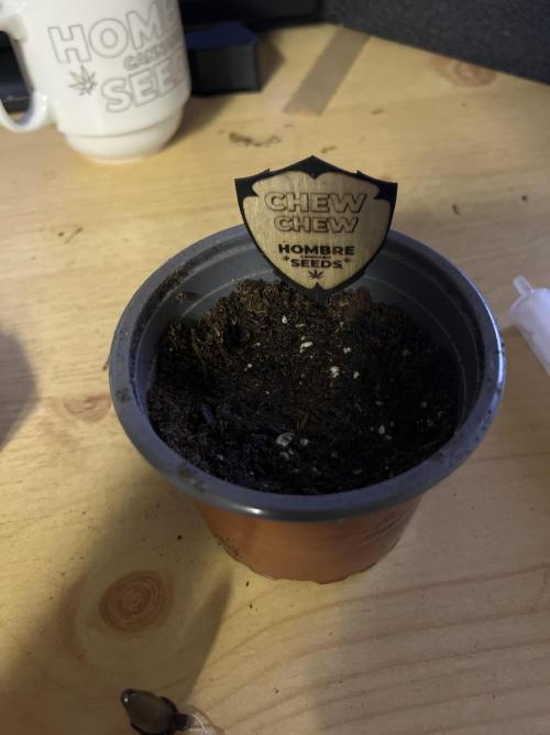 Mix Hombre. Week 1 - Doplnění ztráty 