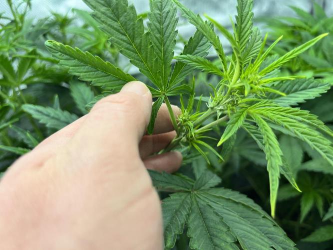 Mix Hombre. Week 5 - Foto 2den 12/12