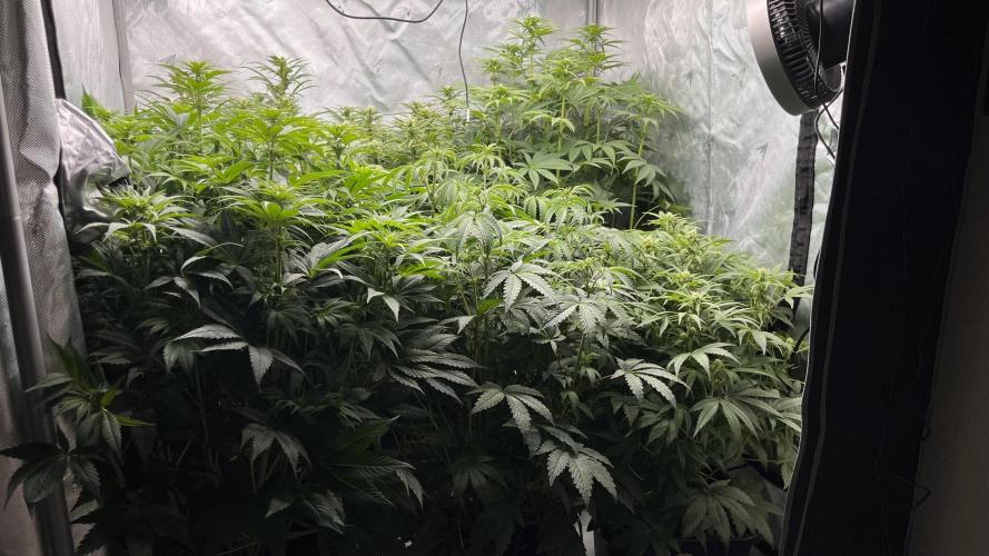 Mix Hombre. Week 8