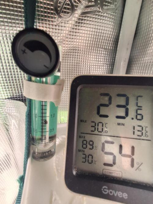 Cherry Cola Auto Rf3/Banana Puple Punch. Week 4 - Hooked up an o2 flow meter for the airdomes
