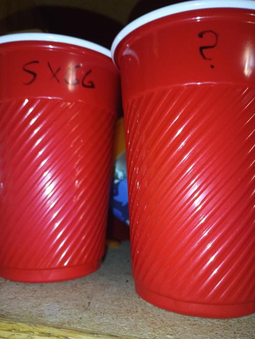 Indoor #1. Week 0 - Strawberry Gorilla and mystery seeds both from fastbuds. 