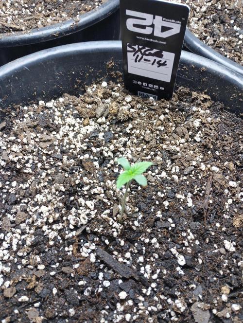 Indoor #1. Week 2 - Day 1 week 2. 