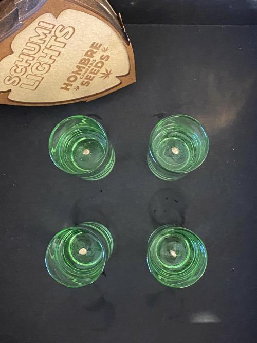 CZ LEGAL GROW. Week 0