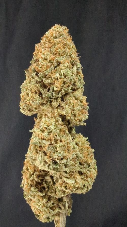 Blackberry Gum