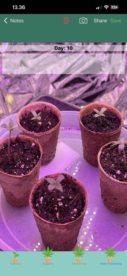 2025 SEP (MID). Week 3