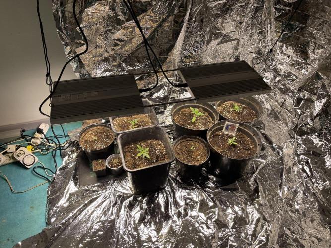 2025 SEP (MID). Week 3