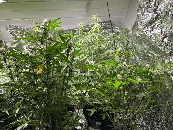 2025 SEP (MID). Week 3