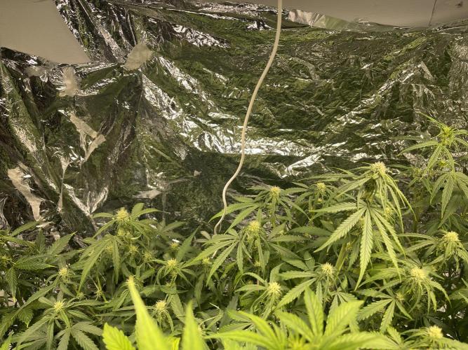 2025 SEP (MID). Week 3