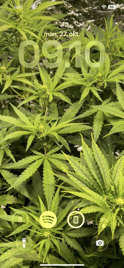 2025 SEP (MID). Week 3