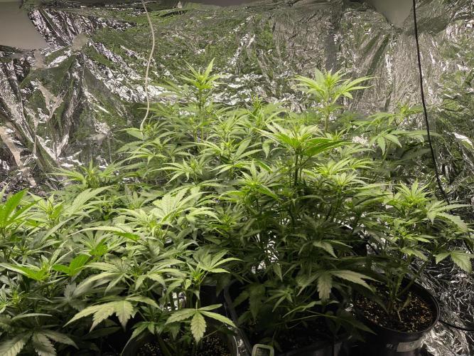 2025 SEP (MID). Week 3