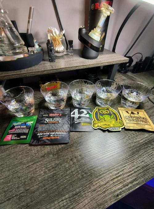 Trippy Trav's Cannabis. Week 0 - Soaked in water for 12 hours. Then put straight into the dirt.