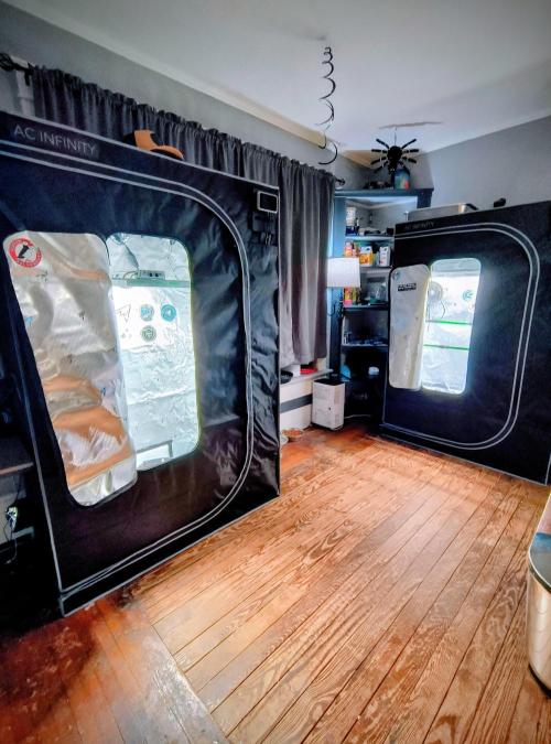 Trippy Trav's Cannabis. Week 0 - My tents.