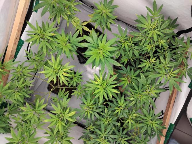 120x120. Week 1 - Nicht mein bester Start aber die nächsten warten schon drum Vollgas :)