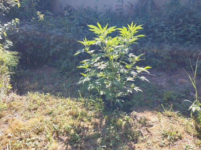 outdoor 2026. Week 1 - Super boof